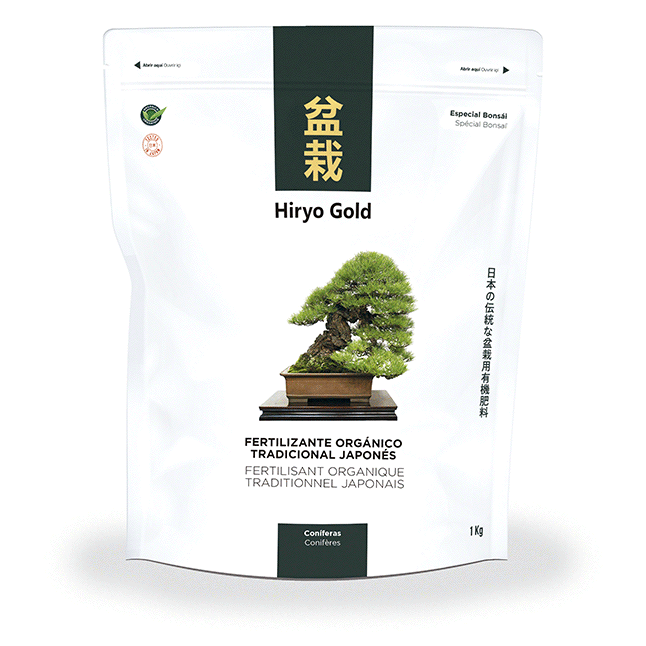 Hiryo Gold coníferas