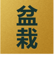 logo-footer