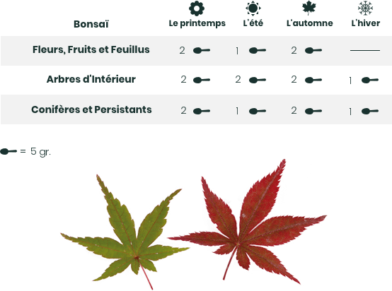 hiryo-gold-taula-mantenimiento-fr